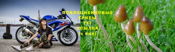 альфа пвп Баксан
