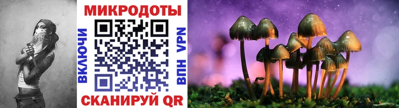 Галлюциногенные грибы прущие грибы  Видное 