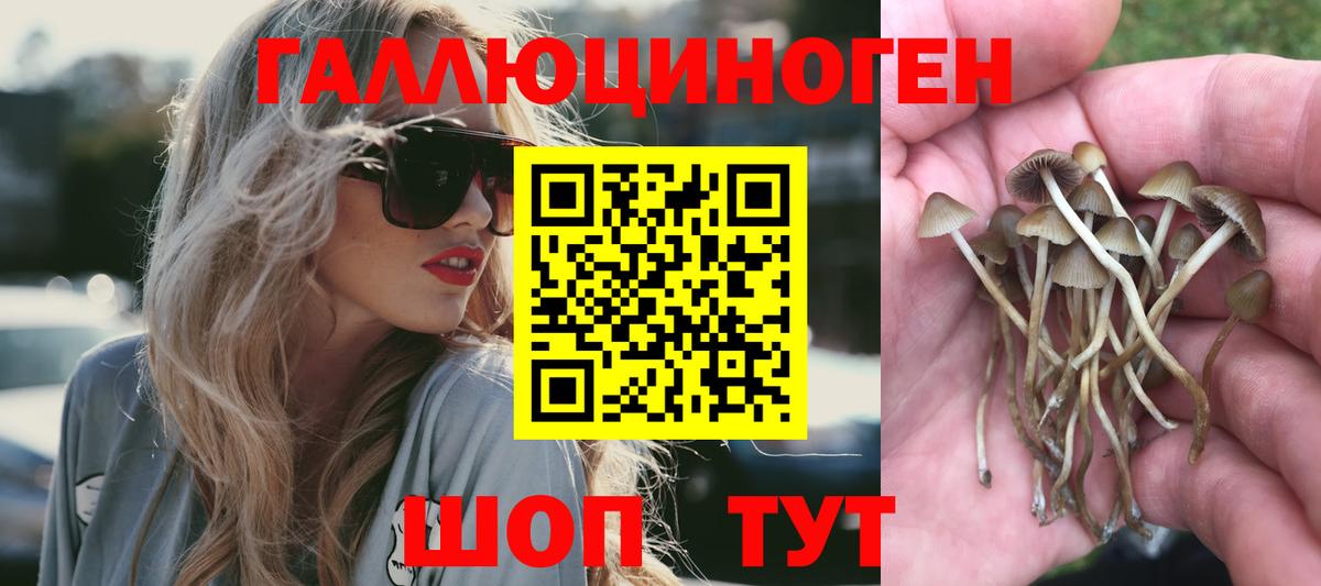 Псилоцибиновые грибы прущие грибы  Видное  Галлюциногенные грибы Magic Shrooms 