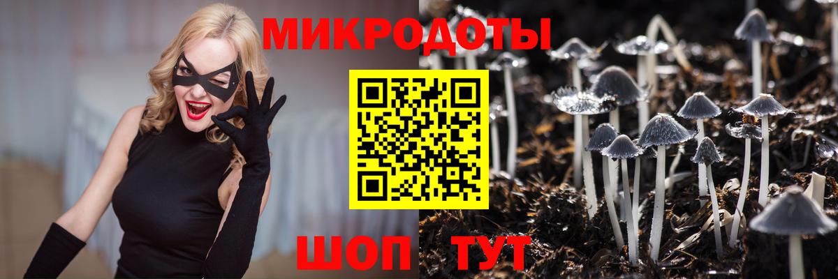 Псилоцибиновые грибы Magic Shrooms  Вход с VPN  Видное 